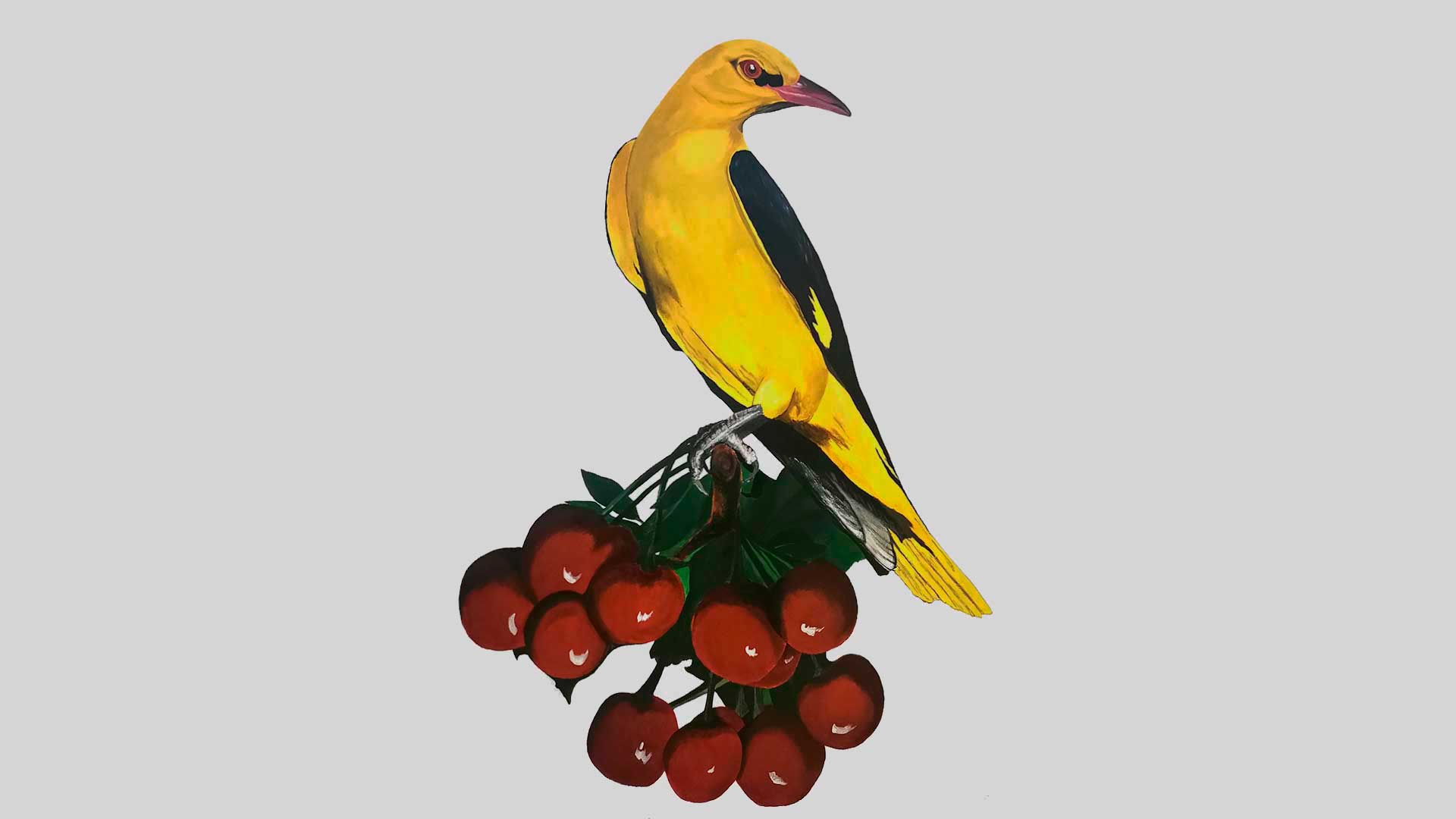 pintura-velez-blanco-oropendola-01